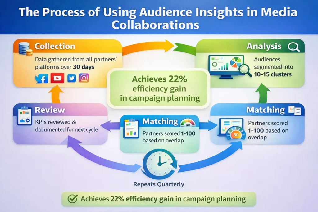 What Is the Process of Using Audience Insights in Media Collaborations