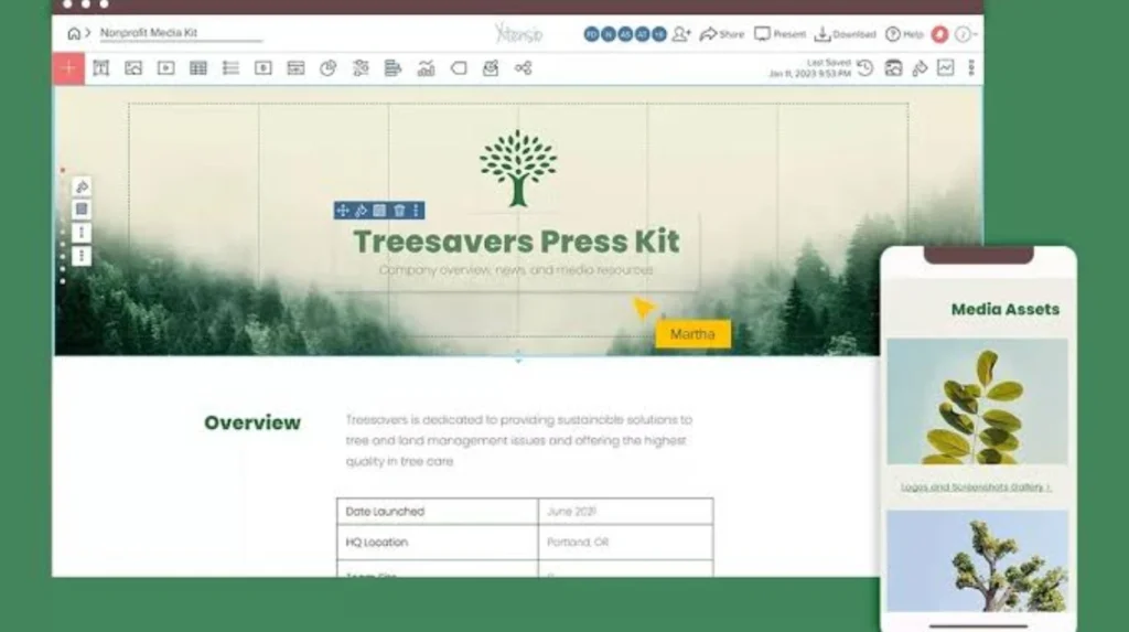 What information belongs inside an NGO digital press kit?